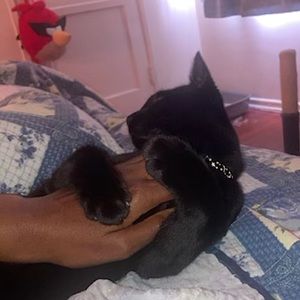 Welcome🧘🏾‍♀️